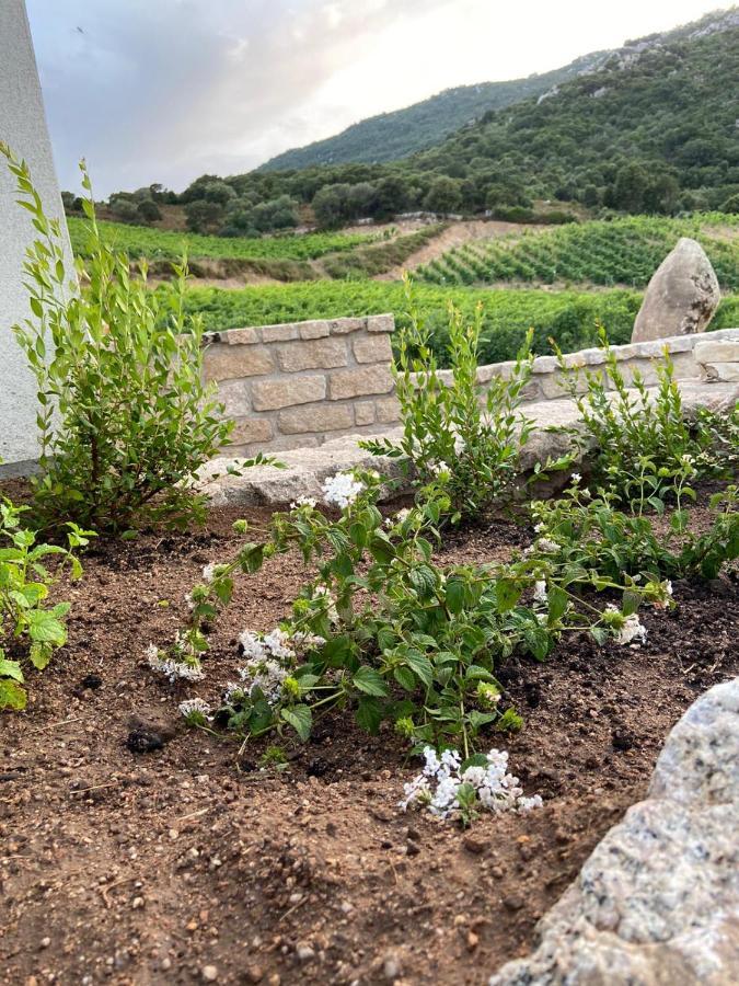 Tenuta Paltusa Farm stay