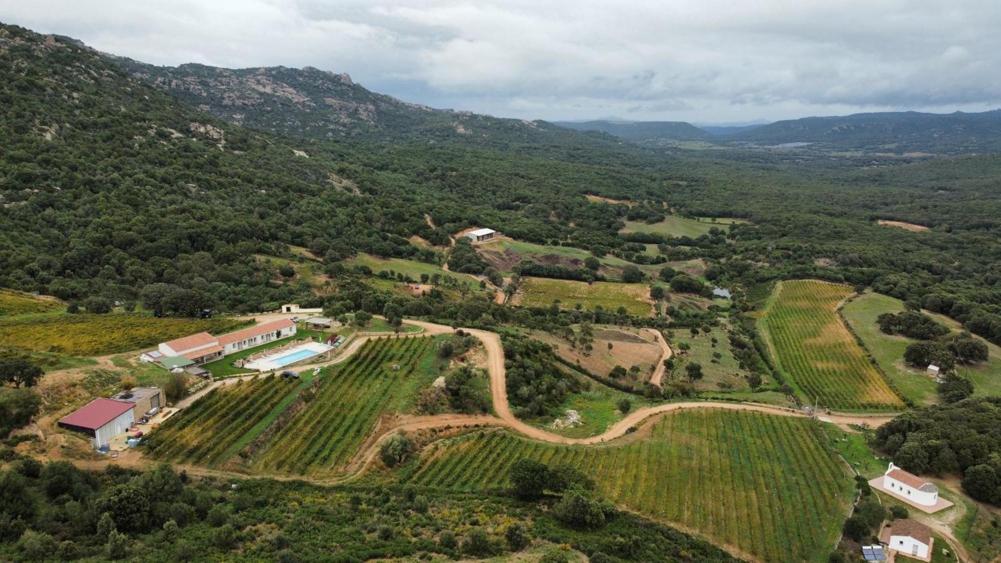 Tenuta Paltusa Farm stay *
